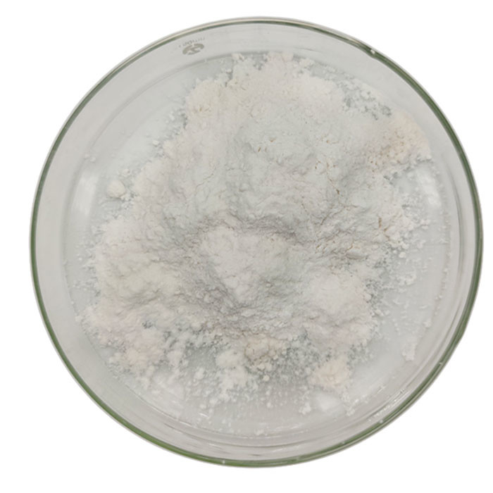 Hexametaphosphate νατρίου CAS 10124-56-8 βιομηχανικό λεπτό κονιοποιημένο SHMP